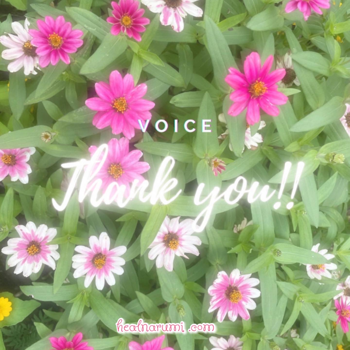 東京【お客さまの声】まるで温泉♡血尿ギリギリ！？膀胱炎のお腹が夢のようにふわふわに〜